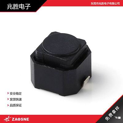 TS-E013