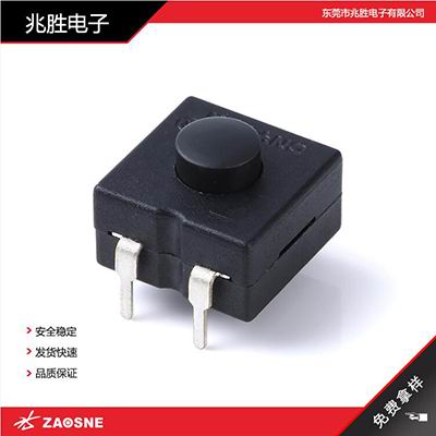 TA-213BS